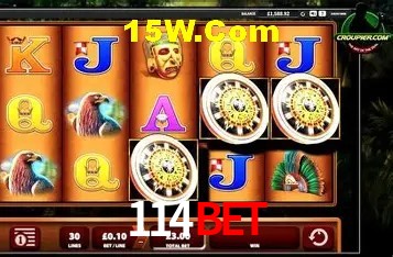 114Bet - User Statistics