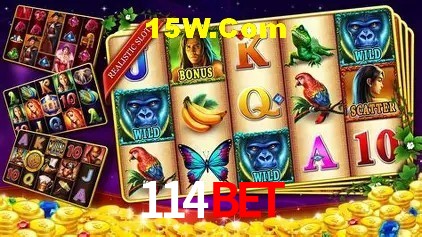 114Bet Brasília - Leaderboards