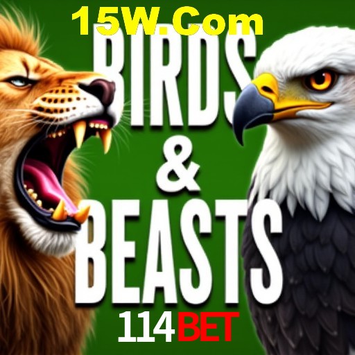 Apostas Esportivas na 114Bet: Um Guia Completo